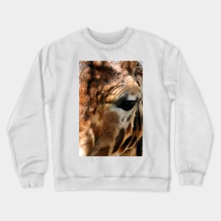 African Giraffe Amelopardalis Giraffa Crewneck Sweatshirt